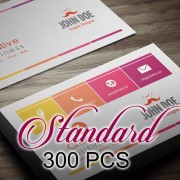 300 PCS Standard Business Card